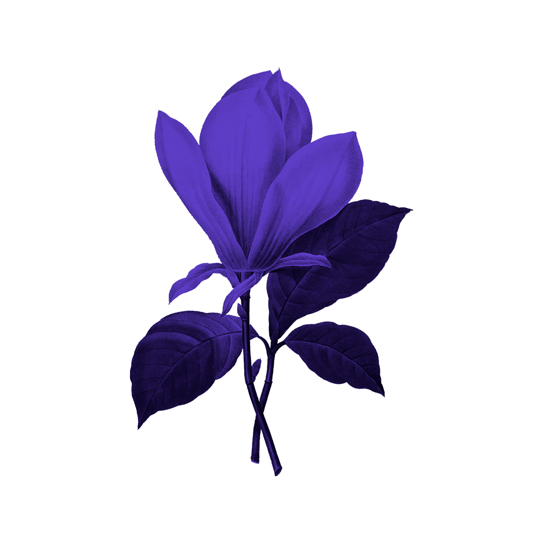 Decorative Flower Background